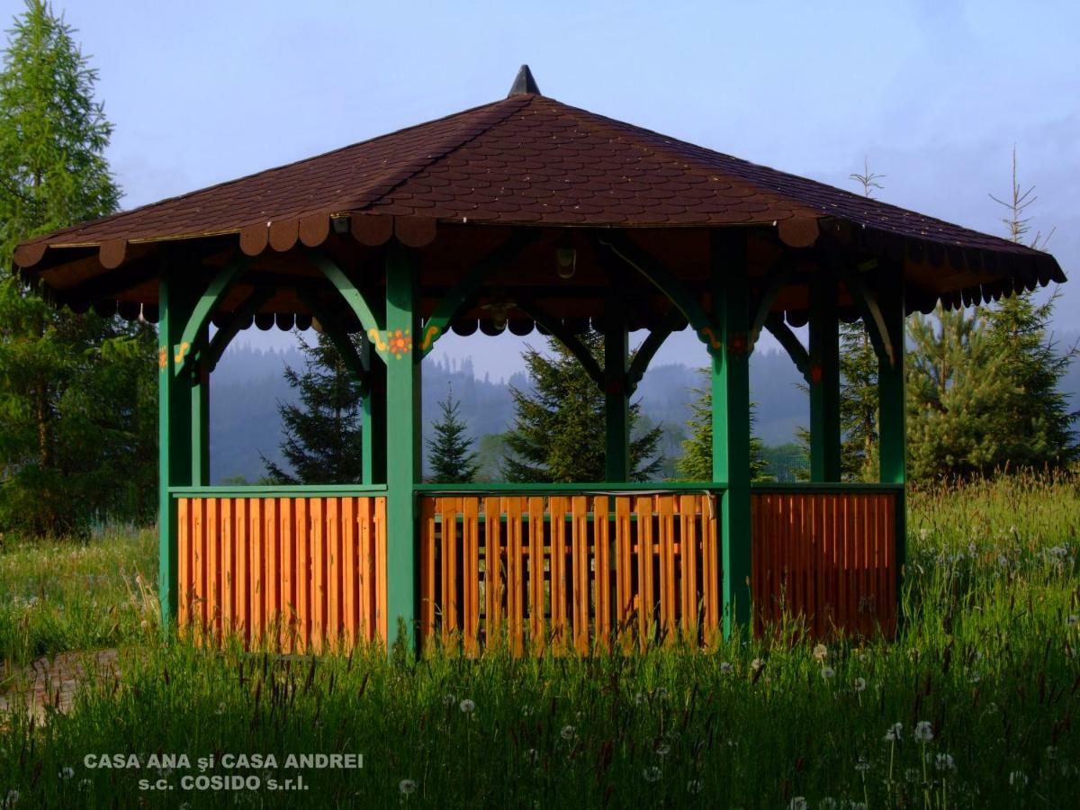 Casa Ana Vatra Dornei Villa Dealu Floreni Luaran gambar