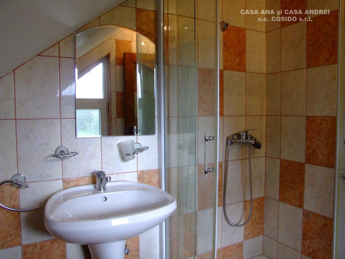 Casa Ana Vatra Dornei Villa Dealu Floreni Luaran gambar