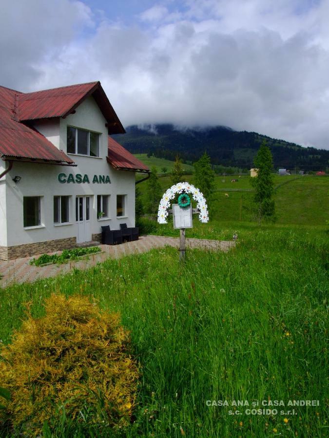 Casa Ana Vatra Dornei Villa Dealu Floreni Luaran gambar